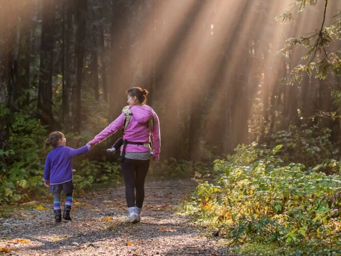 Wandeling in het bos