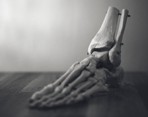 Skelet van voetbotjes - podotherapie behandelt voetklachten
